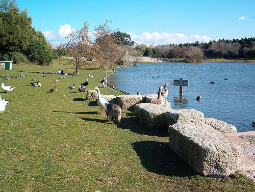 Parque da cidade