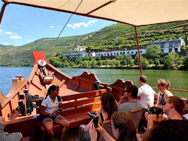 Tour of the Douro vineyards, wine tasting in 2 cellars, lunch and cruise